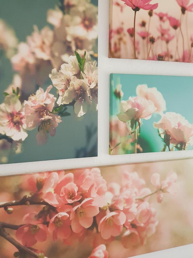 NiestetalCasa Blancaアパートメント エクステリア 写真
